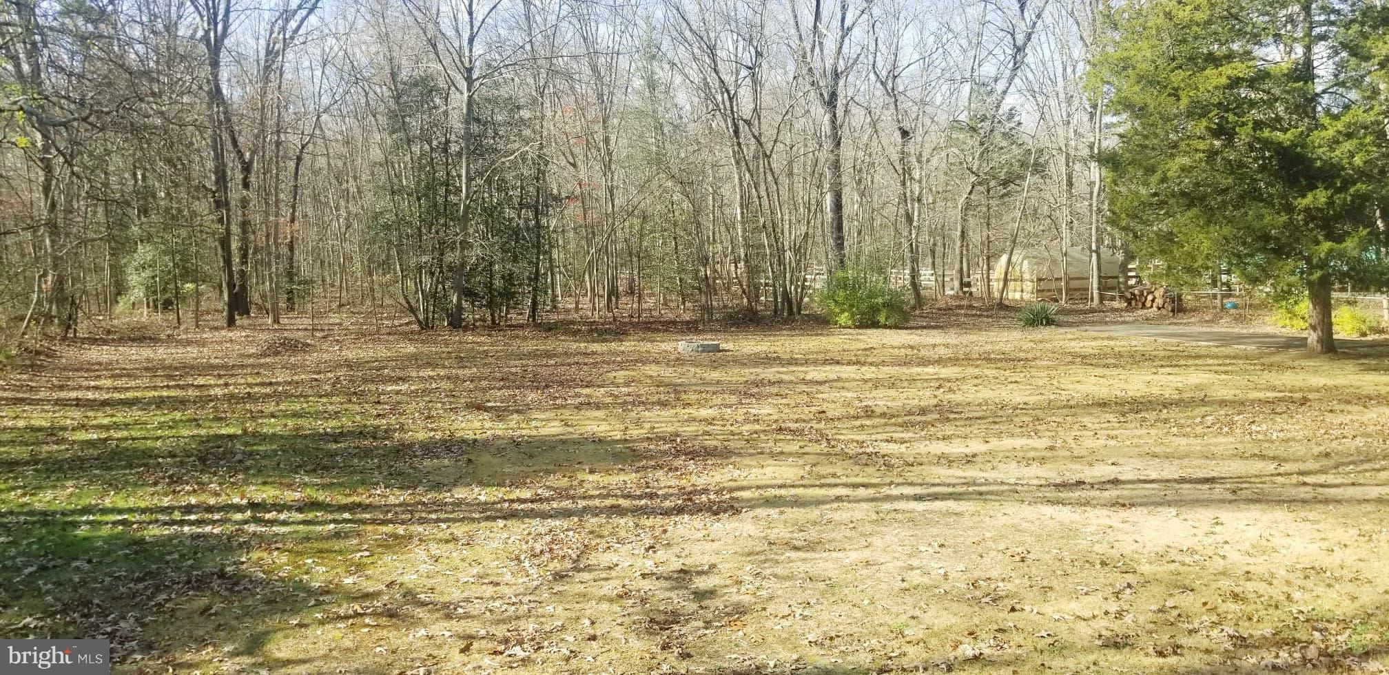 871 Reed Avenue Franklinville, NJ 08322 - Photo 10 of 10 Gallery Image 10