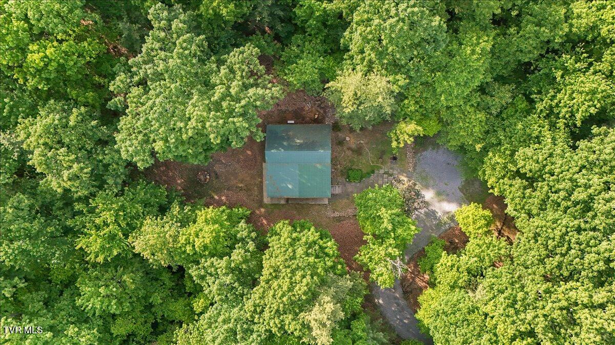 200 Preacher Laws Road Afton, TN 37616 - Photo 26 of 30 06-dji_fly_20260511_172950_0063_17785615