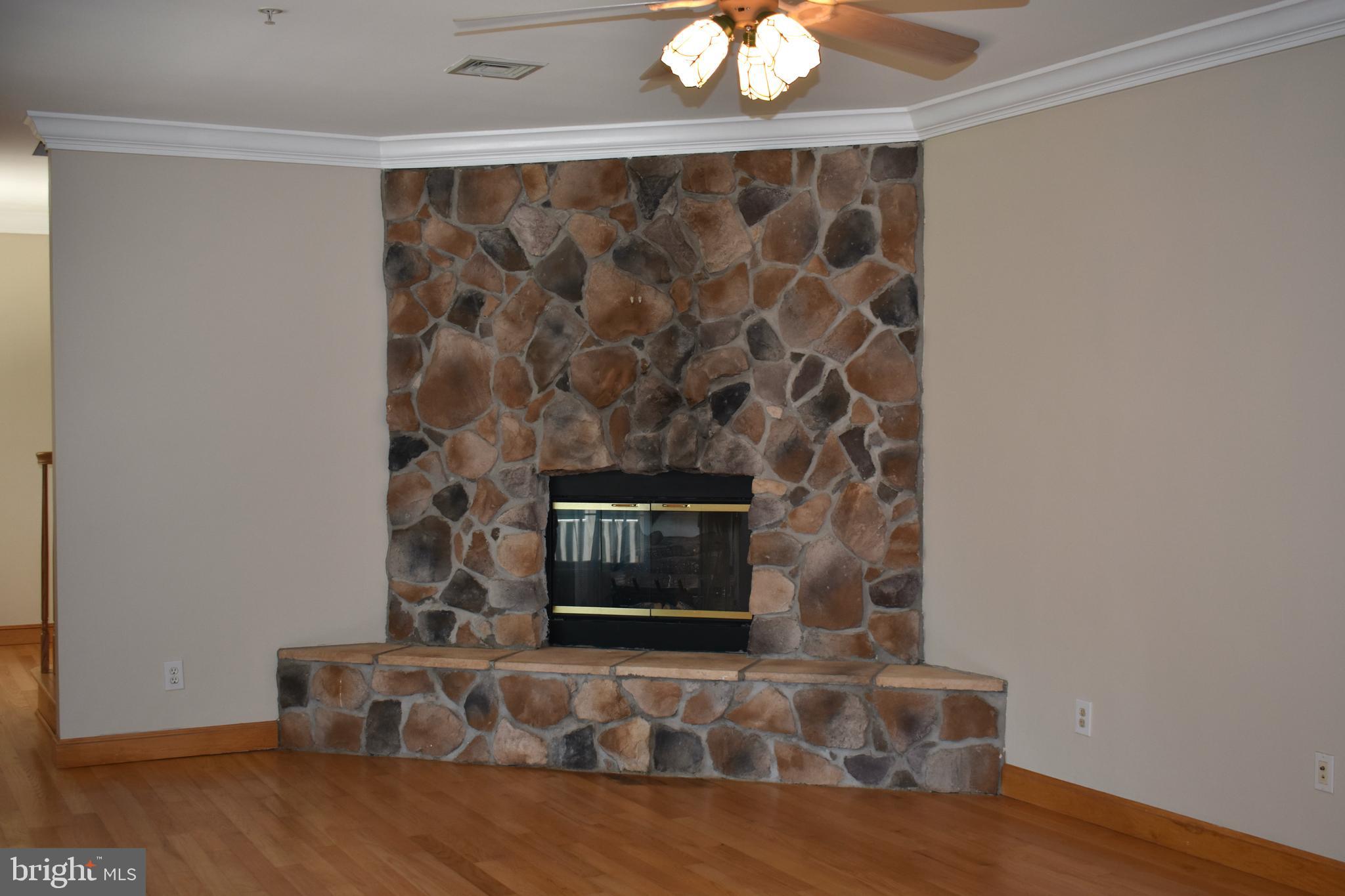 15745 Baden Naylor Road Brandywine, MD 20613 - Photo 12 of 59 Gas fireplace in family/living room