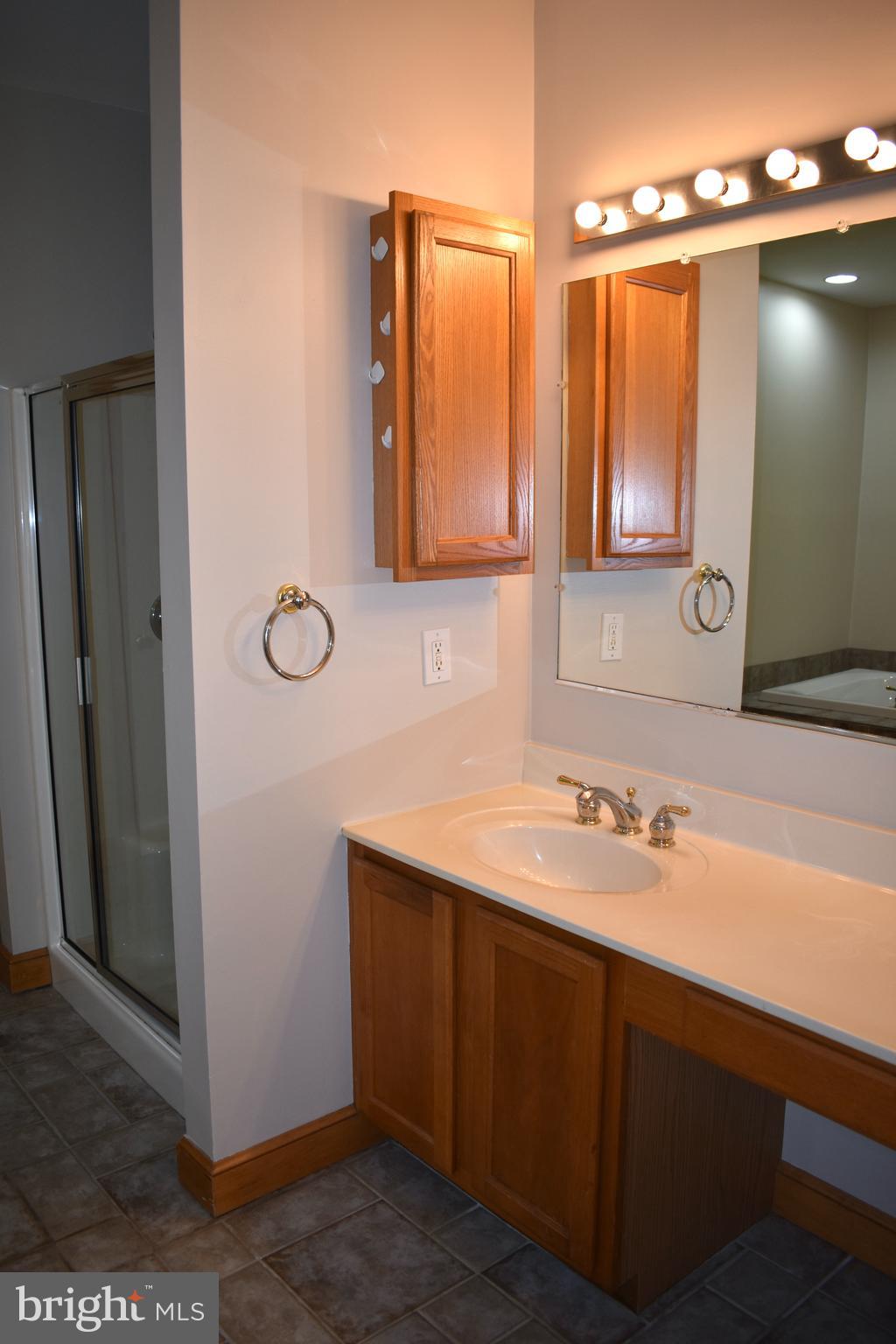 15745 Baden Naylor Road Brandywine, MD 20613 - Photo 18 of 59 Vanity/dressing area w/2 med cabinets (1 not shown