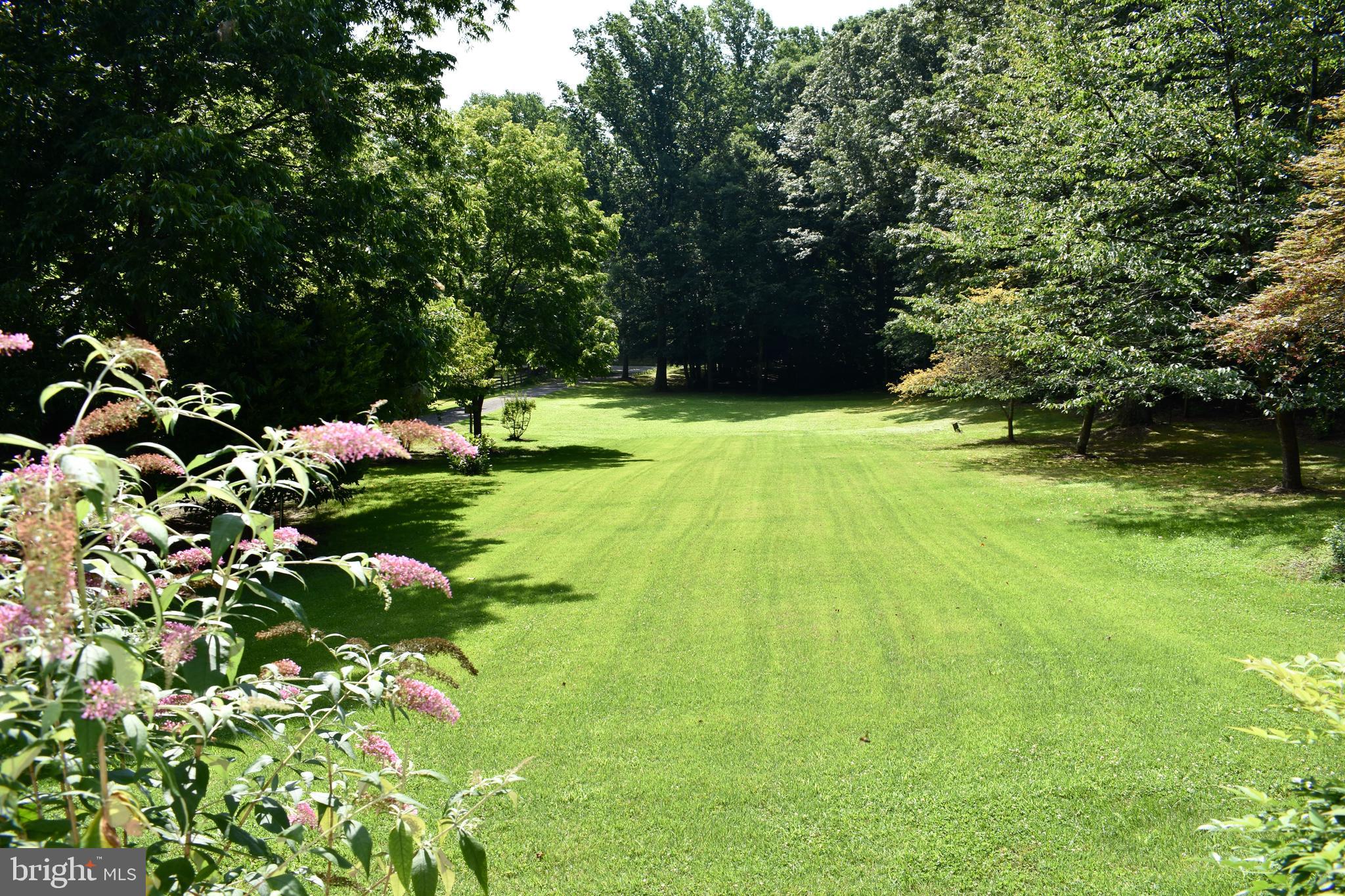 15745 Baden Naylor Road Brandywine, MD 20613 - Photo 53 of 59 Gorgeous front yard with beautiful plantings