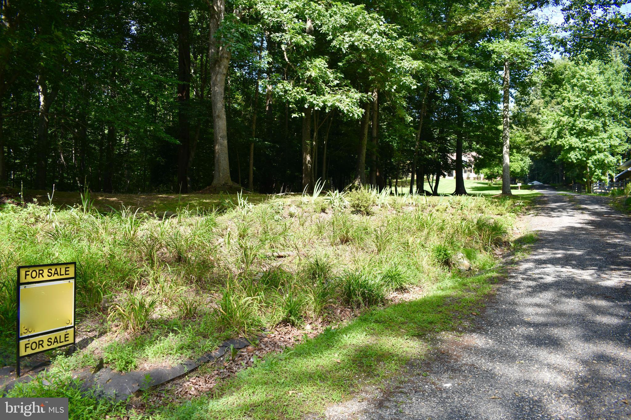 15745 Baden Naylor Road Brandywine, MD 20613 - Photo 56 of 59 Driveway at the street--look for yellow sign