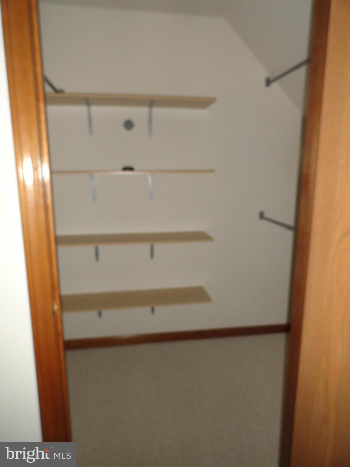 10128 Liberty Road Frederick, MD 21701 - Photo 13 of 20 Bedroom Closet