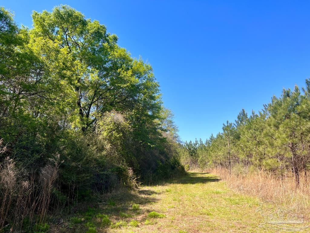 Lot 16 Naturewalk Drive Milton, FL 32571 - Photo 12 of 35 a view of lake view