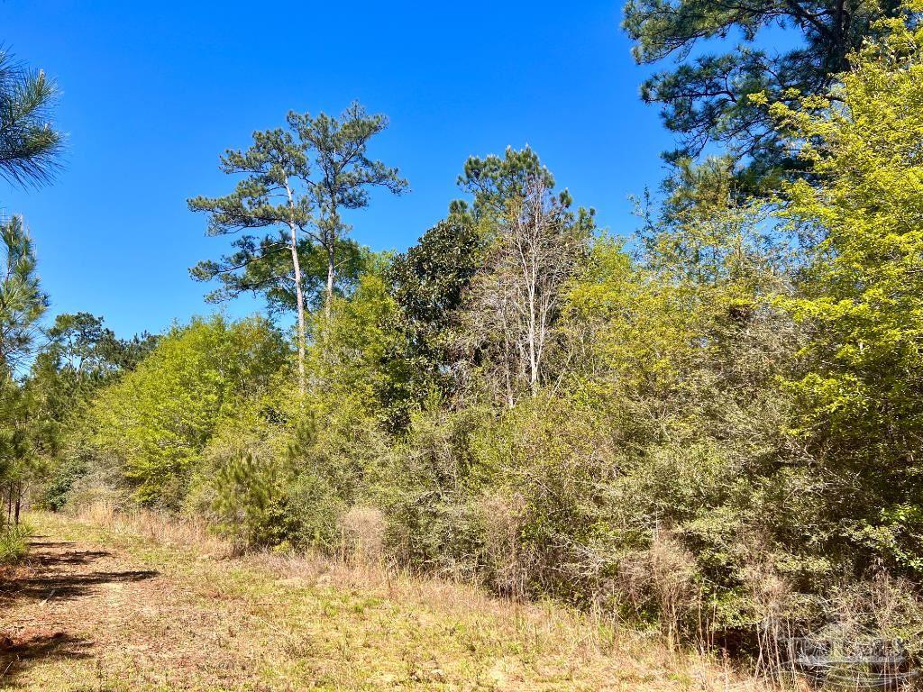Lot 16 Naturewalk Drive Milton, FL 32571 - Photo 14 of 35 a view of a tree with a yard