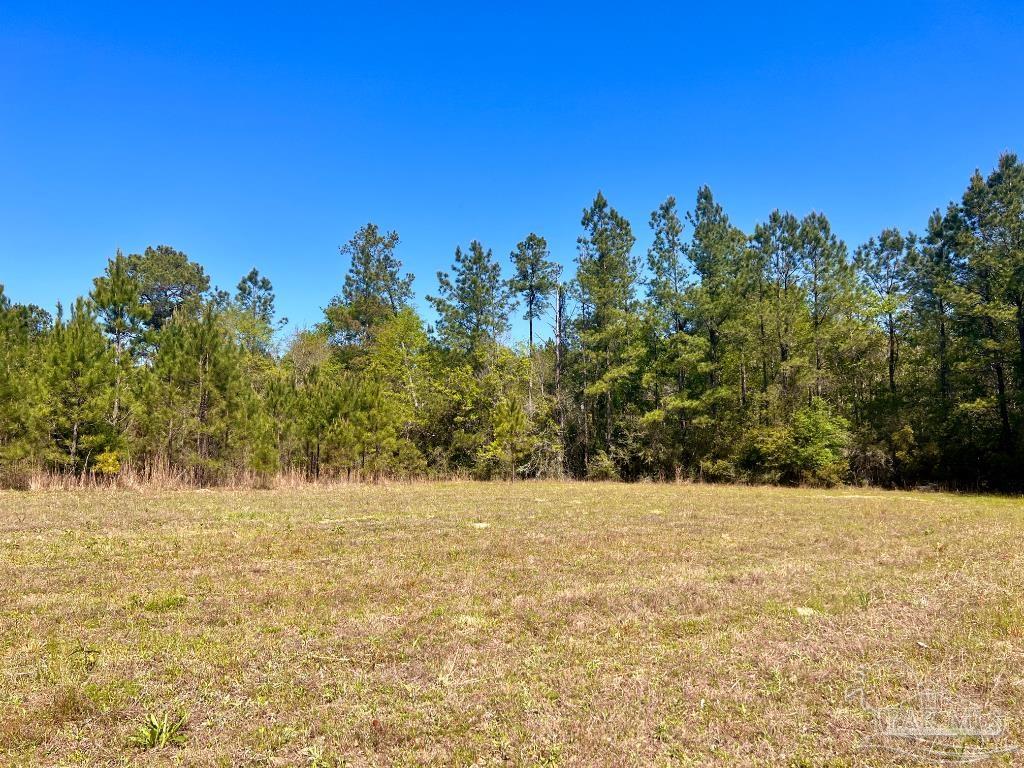 Lot 16 Naturewalk Drive Milton, FL 32571 - Photo 6 of 35 a view of basketball area with trees in the background
