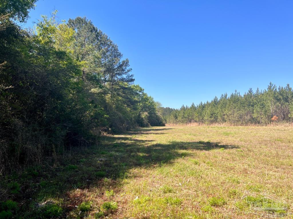 Lot 16 Naturewalk Drive Milton, FL 32571 - Photo 8 of 35 a view of an ocean and beach