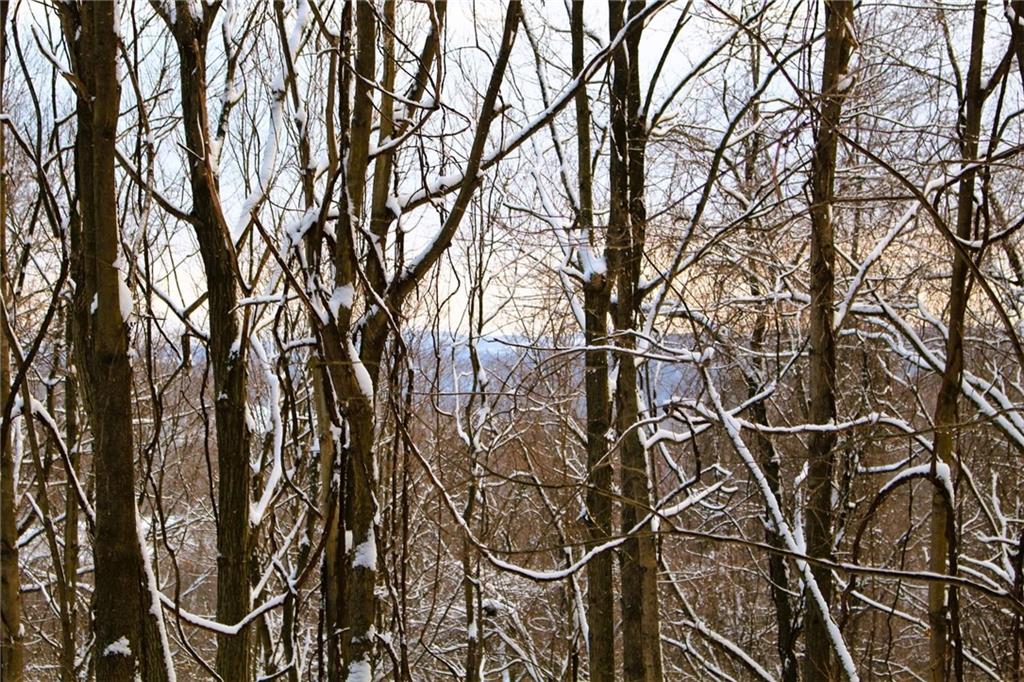 73 Hegedus Road Scottdale, PA 15683 - Photo 4 of 8 Gallery Image 4