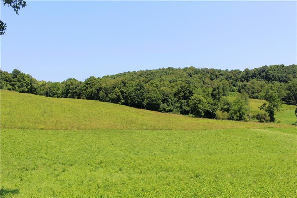 73 Hegedus Road Scottdale, PA 15683 - Photo 6 of 8 View from farmers field up into the wooded property