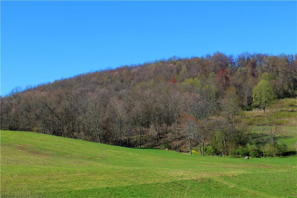 73 Hegedus Road Scottdale, PA 15683 - Photo 8 of 8 Looking up to the property from farmers field