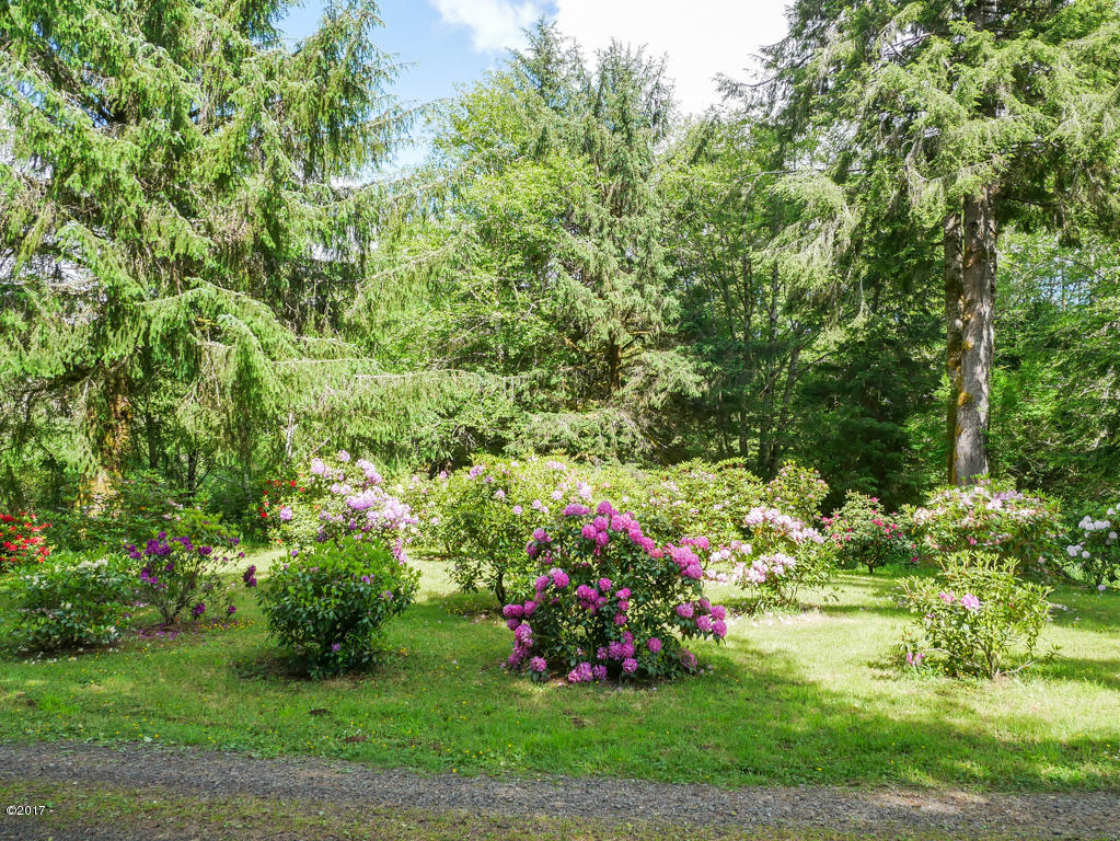 847 Hamer Road Siletz, OR 97380 - Photo 63 of 79 Rhodie patch