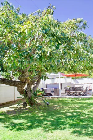 a picture of a yard