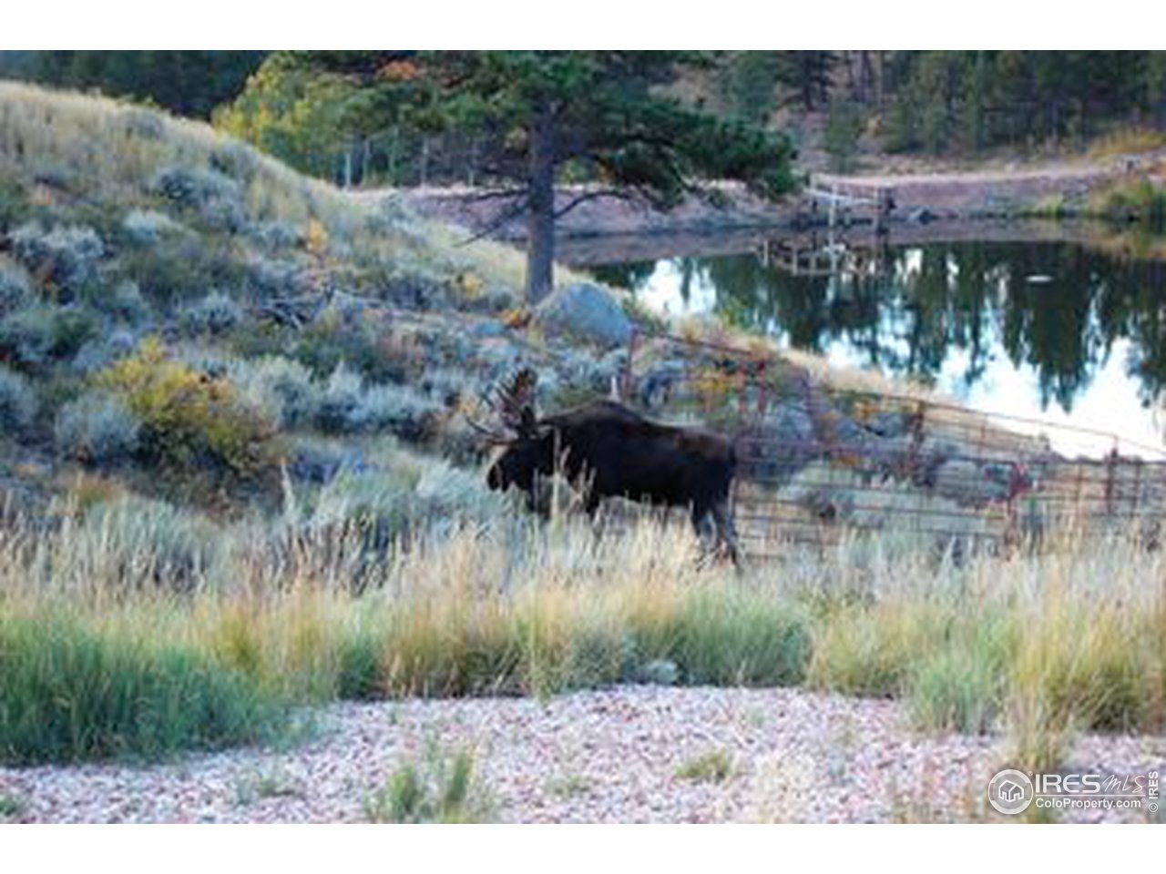 1373 Beartrap Road Red Feather Lakes, CO 80545 - Photo 11 of 16 Gallery Image 11