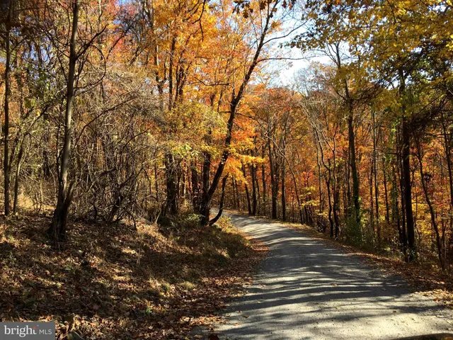 $79,900 | Lot D45-49, Lot D45-49, Stanley, VA 22851