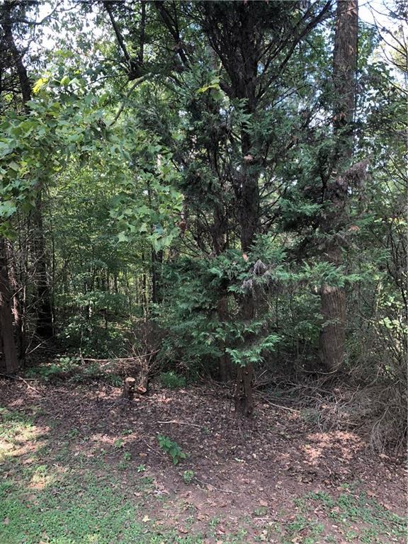 3788 Sandy Ford Road Hickory, NC 28602 - Photo 30 of 30 a view of a forest that has a tree
