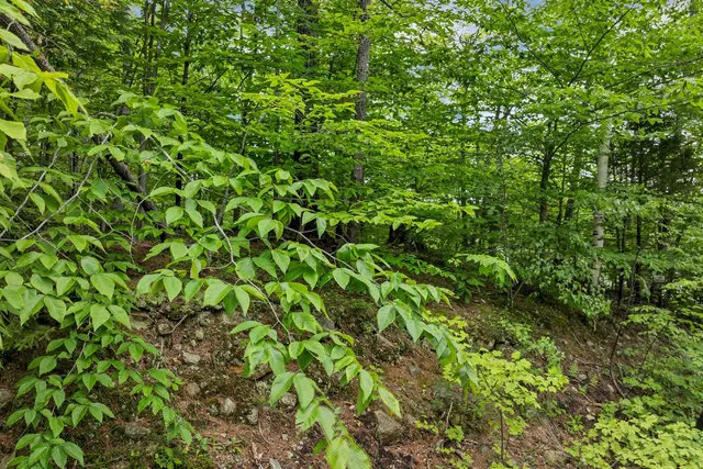 $19,900 | Plum Avenue, Unit 99, Gilmanton, NH 03237