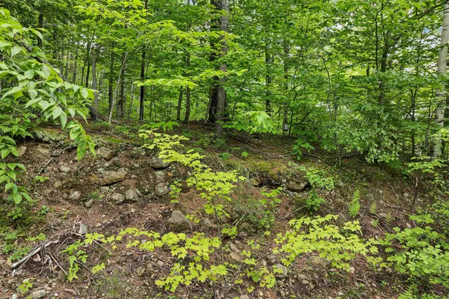 $19,900 | Plum Avenue, Unit 99, Gilmanton, NH 03237