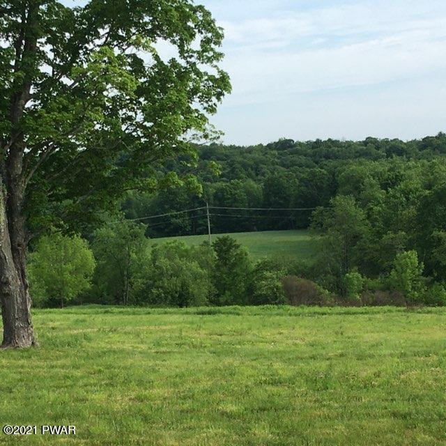 185 Como Road Lakewood, PA 18439 - Photo 13 of 19 2 Fields