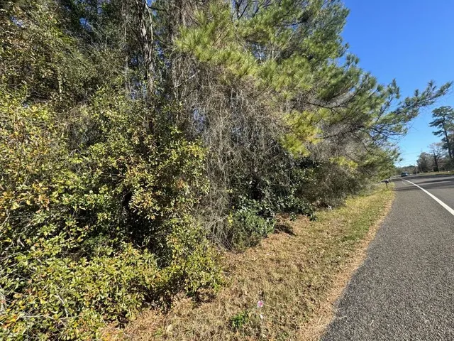 $49,149 | 0 Caney Creek Road, Vidor, TX 77662