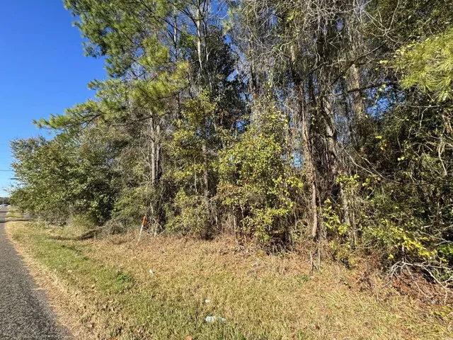 $49,149 | 0 Caney Creek Road, Vidor, TX 77662