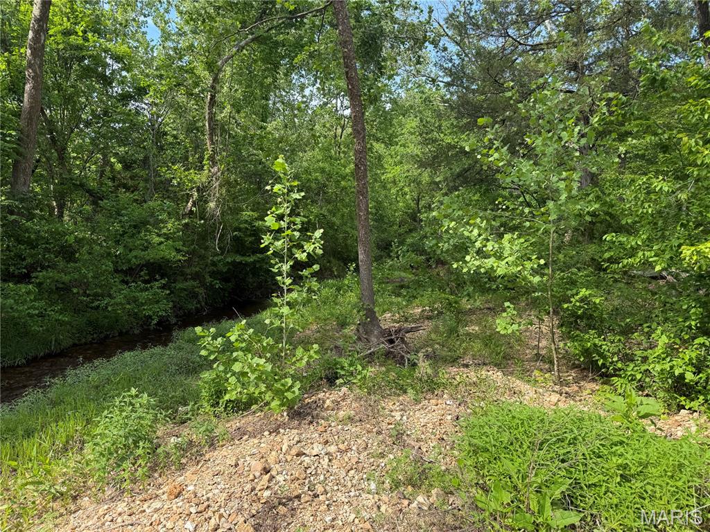 21932 West Ashley Road Raymondville, MO 65555 - Photo 2 of 6