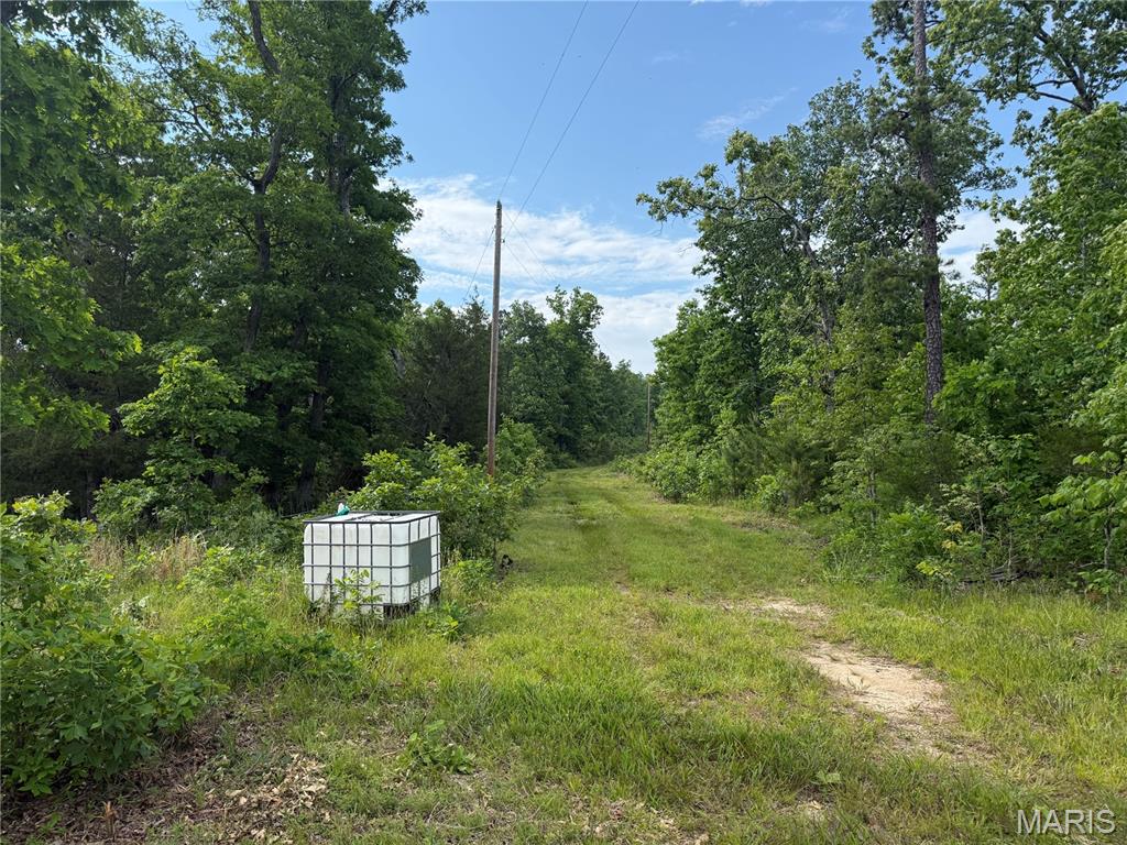 21932 West Ashley Road Raymondville, MO 65555 - Photo 3 of 6