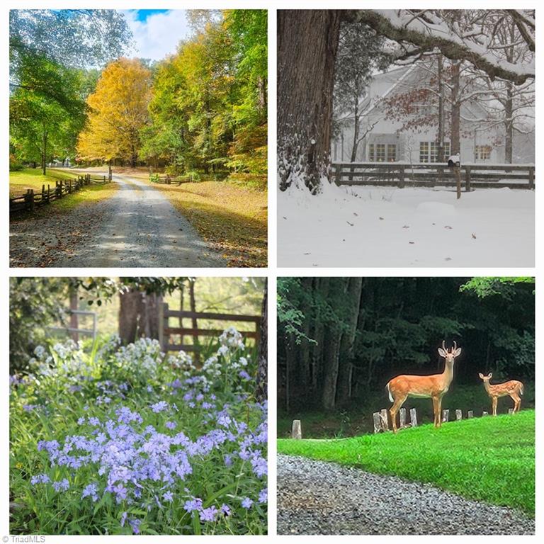 469 Justamere Farm Road Greensboro, NC 27455 - Photo 2 of 34