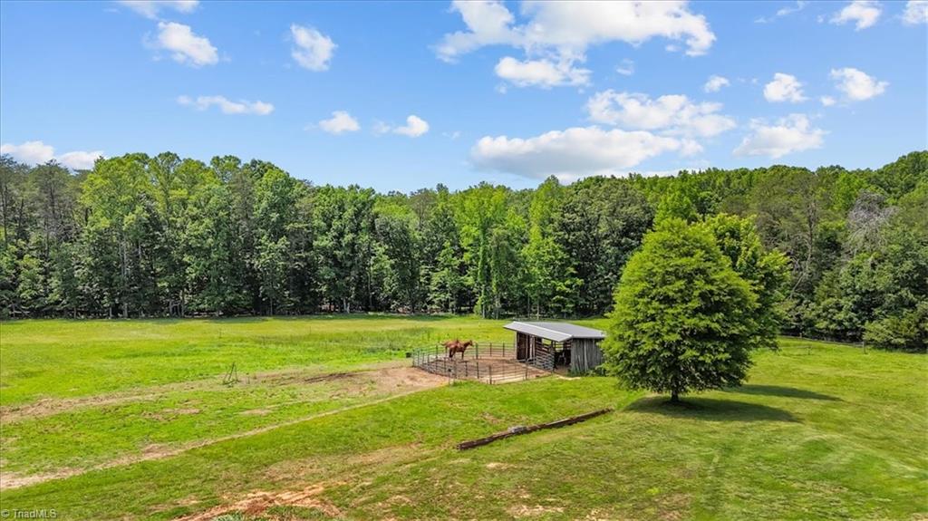 469 Justamere Farm Road Greensboro, NC 27455 - Photo 8 of 34