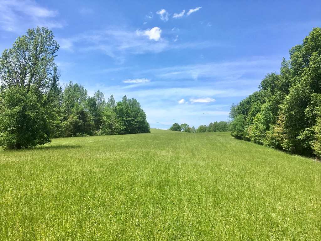 0 Colesbend Road Smiths Grove, KY 42171 - Photo 1 of 12 Gallery Image 1