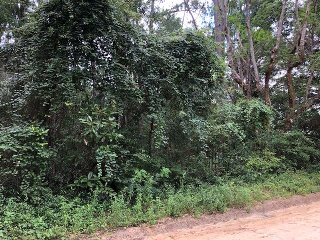 0 Rudd Road Monticello, FL 32344 - Photo 2 of 4 Gallery Image 2