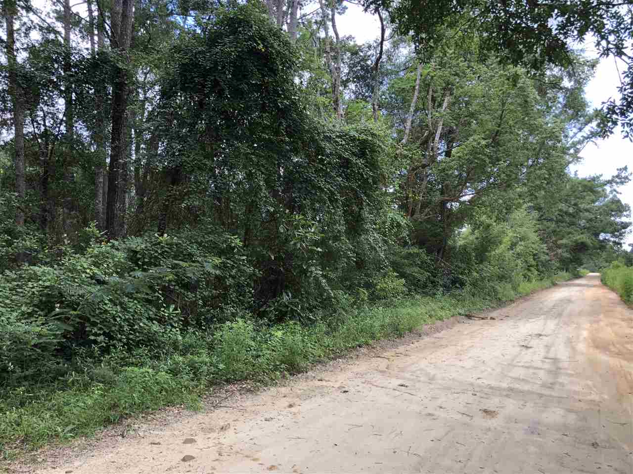 0 Rudd Road Monticello, FL 32344 - Photo 4 of 4 Gallery Image 4