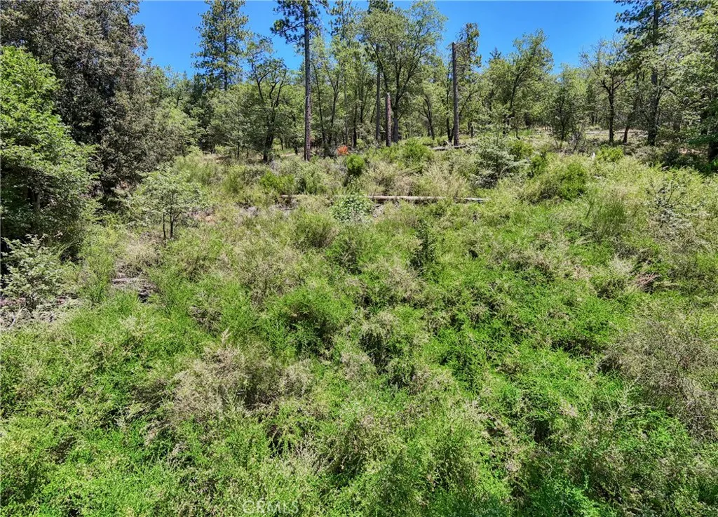 12548 Observation Road Middletown, CA 95461 - Photo 8 of 19
