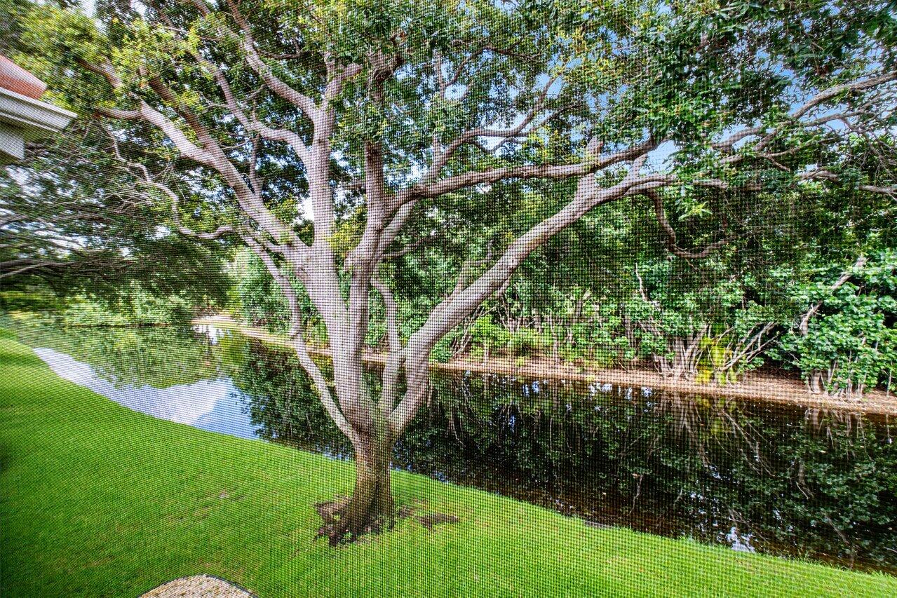 17266 Boca Club Boulevard, Unit 1603 Boca Raton, FL 33487 - Photo 34 of 42 a view of a garden with a tree