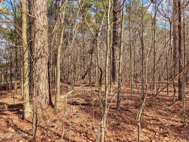 $24,900 | 0 Tn-124, McKenzie, TN 38201