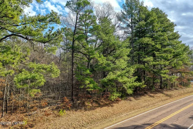 $24,900 | 0 Tn-124, McKenzie, TN 38201