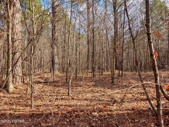 $24,900 | 0 Tn-124, McKenzie, TN 38201