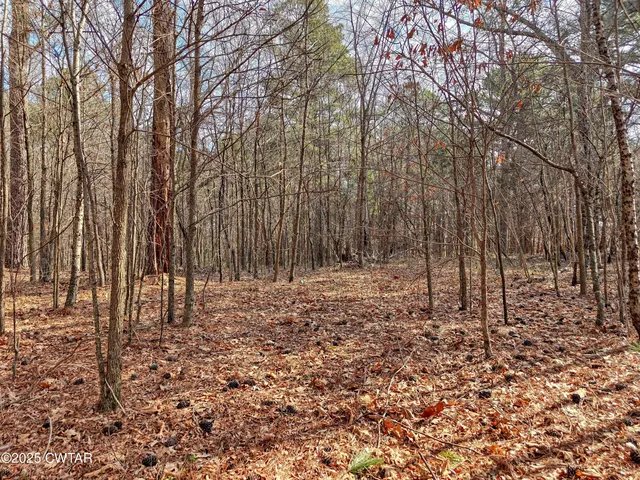 $24,900 | 0 Tn-124, McKenzie, TN 38201