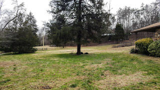 1961 Euchee Road Ten Mile, TN 37880 - Photo 6 of 18 PSX_20190128_144136
