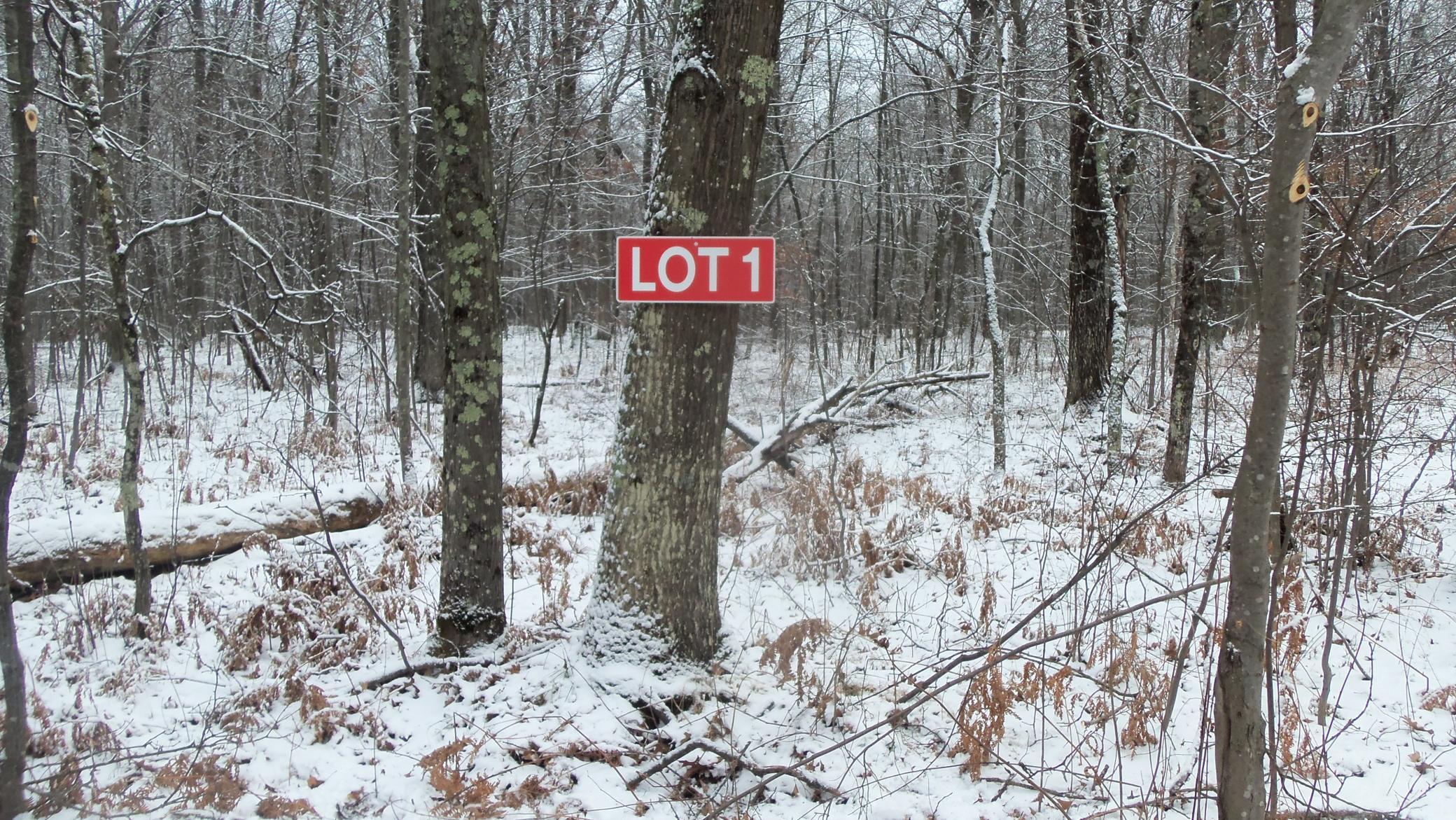 Lot 1 Blackberry Road Trego, WI 54888 - Photo 1 of 1