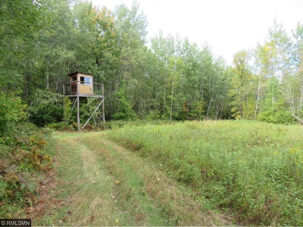 Xxx Autio Road Floodwood, MN 55736 - Photo 1 of 1 Gallery Image 1