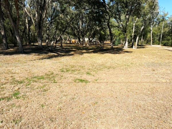 16347 Albright Road Spring Hill, FL 34610 - Photo 2 of 5