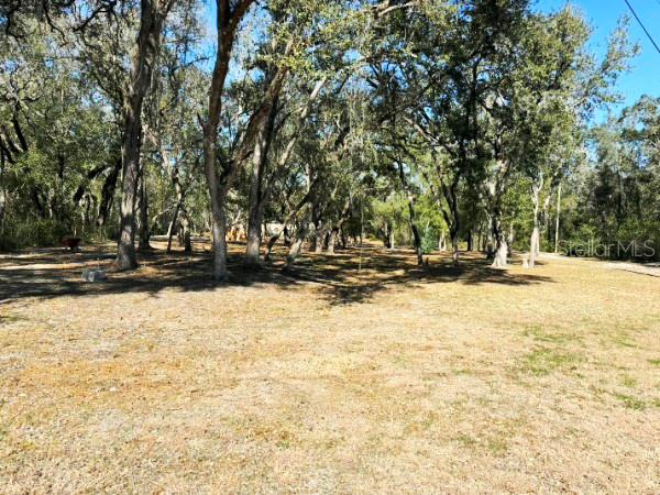 16347 Albright Road Spring Hill, FL 34610 - Photo 3 of 5