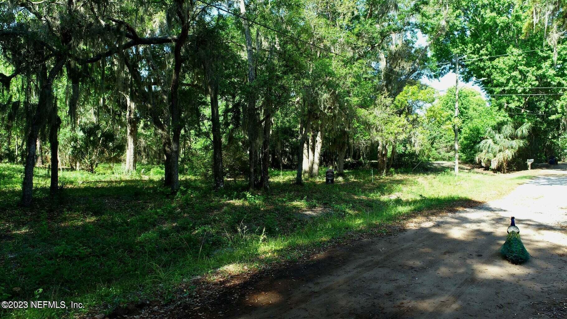 3901 Starratt Road Jacksonville, FL 32226 - Photo 13 of 18 20230428172701902788000000-o