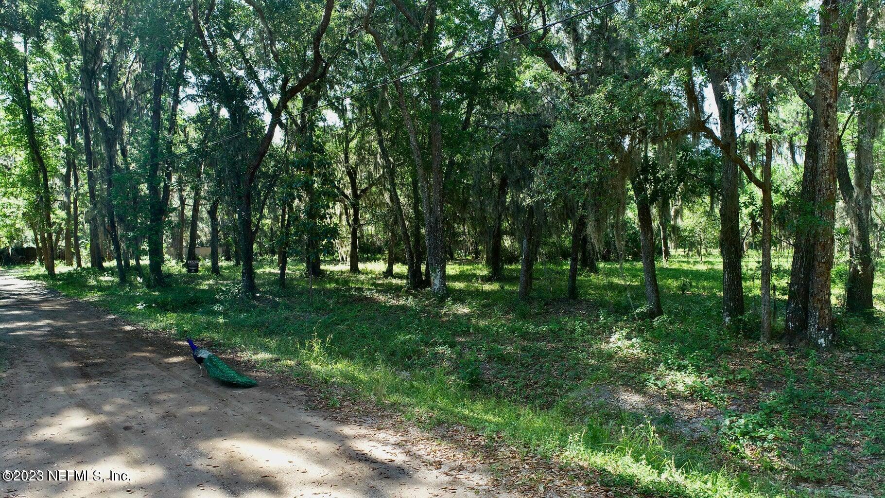 3901 Starratt Road Jacksonville, FL 32226 - Photo 14 of 18 20230428174116066738000000-o