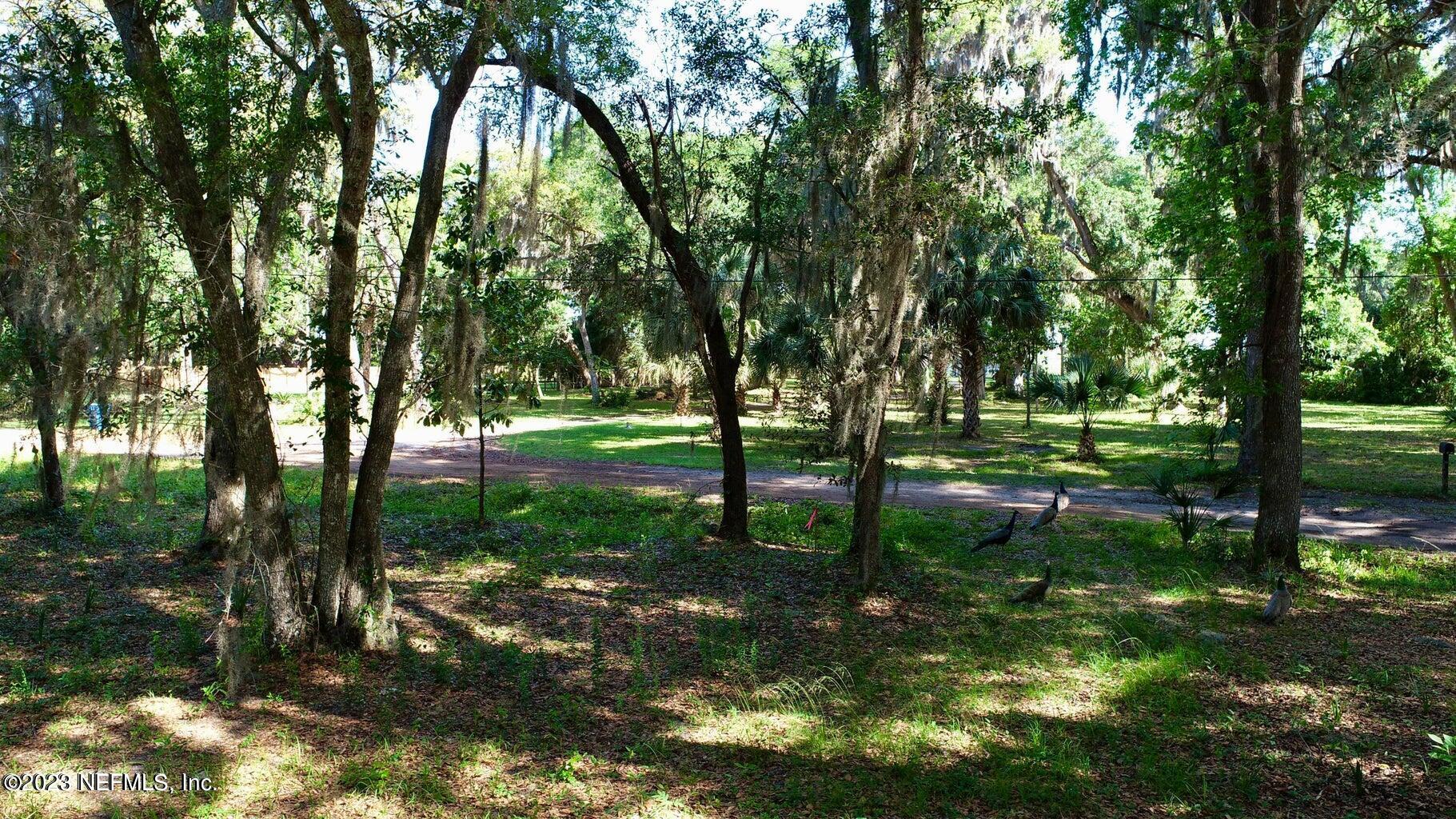3901 Starratt Road Jacksonville, FL 32226 - Photo 7 of 18 20230428171128274703000000-o