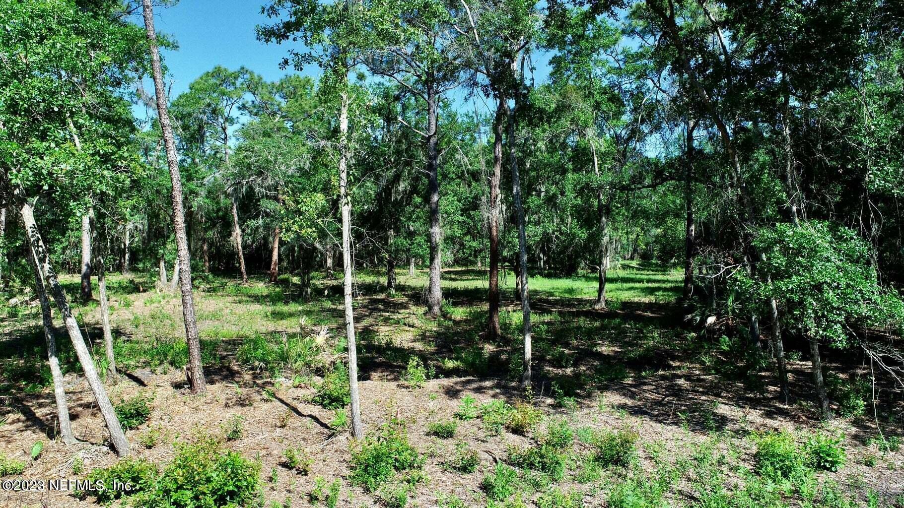 3901 Starratt Road Jacksonville, FL 32226 - Photo 10 of 18 20230428171231730887000000-o