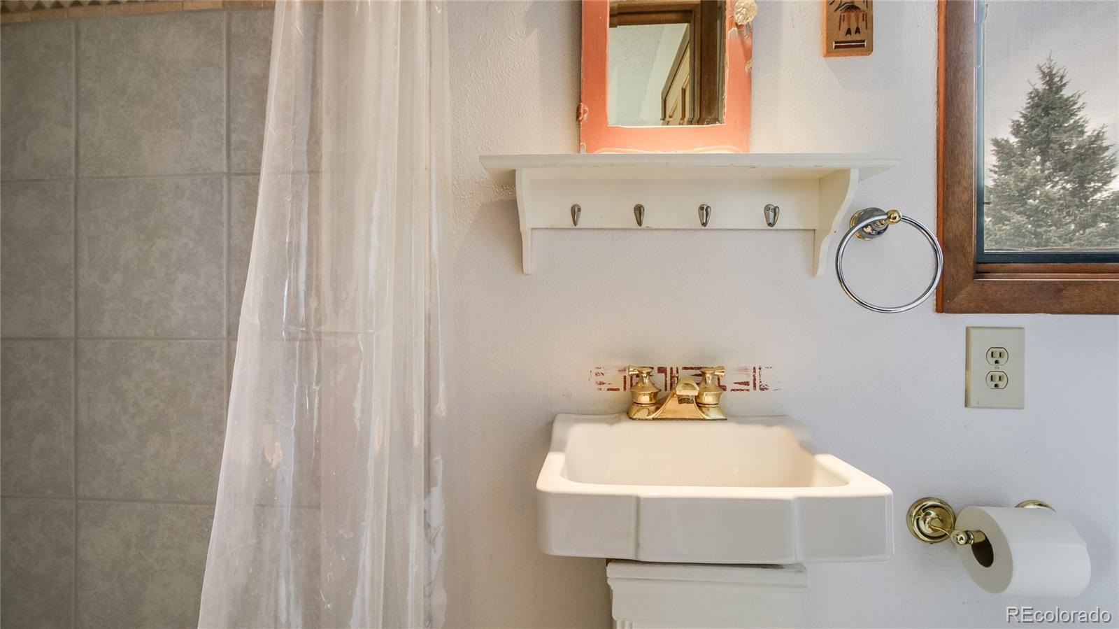 1343 Tapadero Road Bailey, CO 80421 - Photo 23 of 32