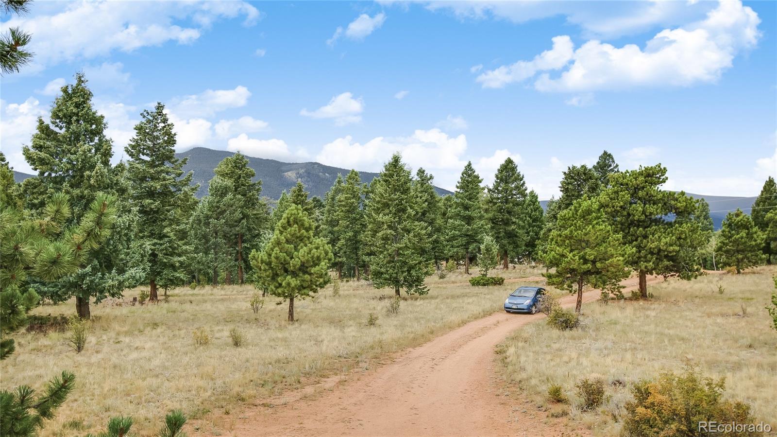 1343 Tapadero Road Bailey, CO 80421 - Photo 24 of 32