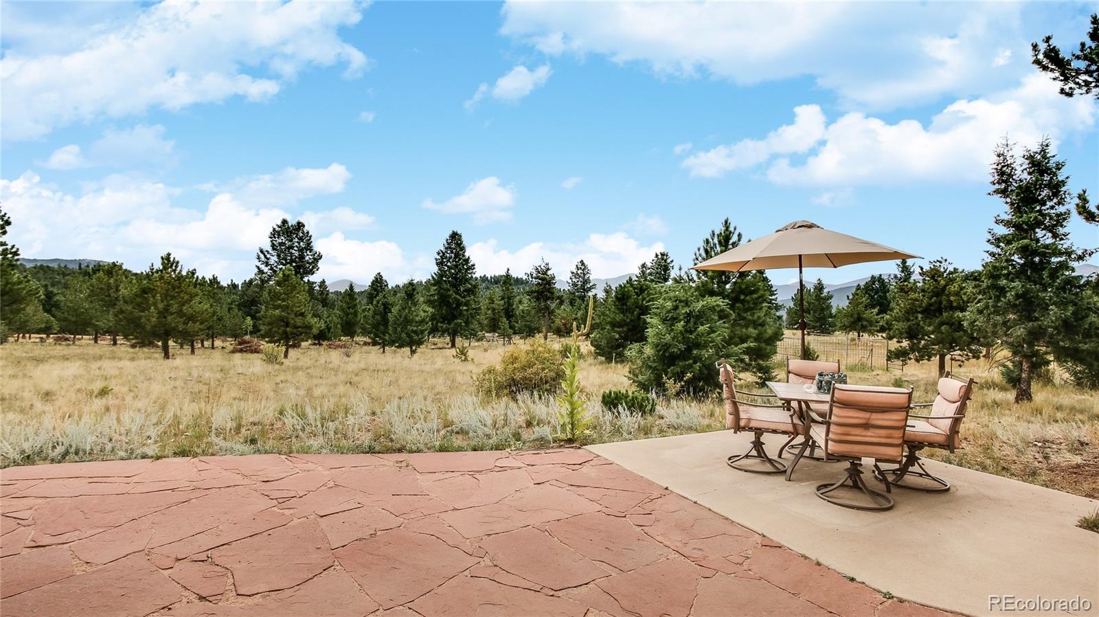 1343 Tapadero Road Bailey, CO 80421 - Photo 26 of 32