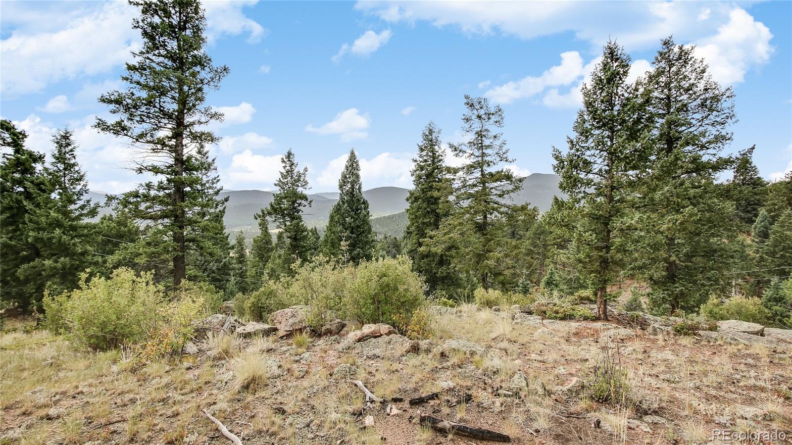 1343 Tapadero Road Bailey, CO 80421 - Photo 29 of 32